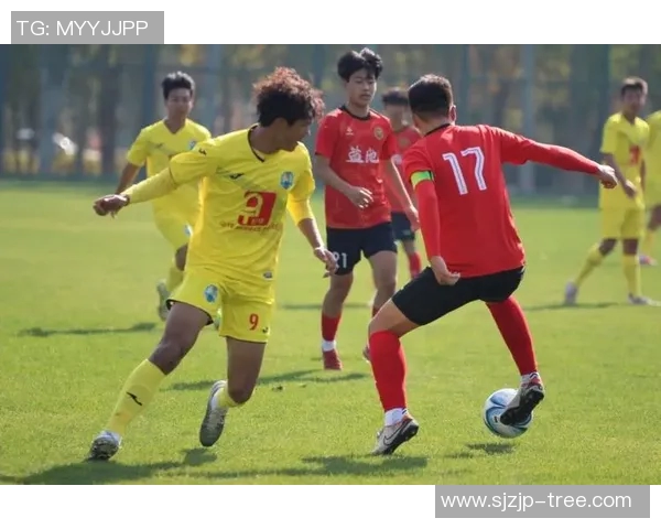 马上踢足球球星展现非凡实力引领绿茵赛场激情风暴 马上踢足球球星展现非凡实力引领绿茵赛场激情风暴